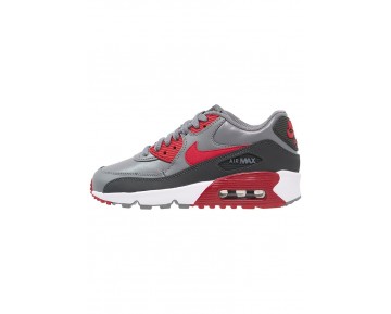 Nike Air Max 90 Schuhe Low NIKfim1-Grau