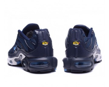 Nike Air Max TN Plus Sneaker-Herren