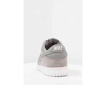 Nike Dunk Low Schuhe Low NIKrvwn-Grau