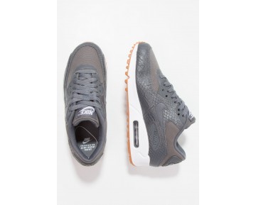 Nike Air Max 90 Premium Schuhe Low NIKopem-Grau