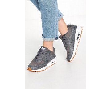 Nike Air Max 90 Premium Schuhe Low NIKopem-Grau