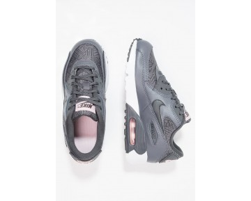 Nike Air Max 90 Se Mesh(Ps) Schuhe Low NIKjbx7-Grau