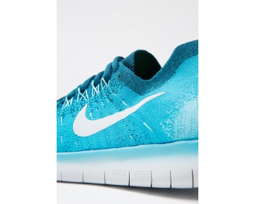 Nike Performance Free Run Flyknit 2 Schuhe NIKpckh-Blau
