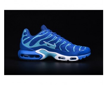 Nike Air Max TN Rubber Patch Schuhe-Herren